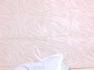 nina-bae Live Webcam on CamSoda