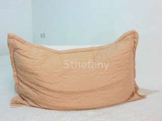Sthefanyx1