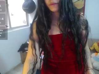 amaia-t