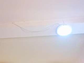 ariana18-b