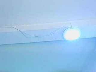 ARISWEET live webcam show