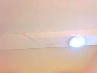 ariana18-b
