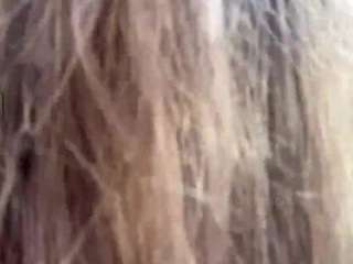 bunnytatem