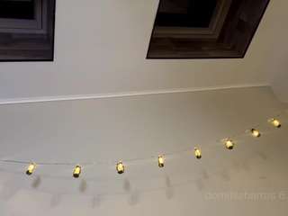 bunnytatem