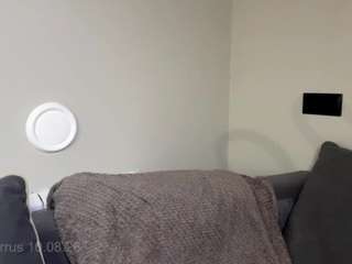 bunnytatem