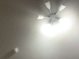 ethelynrattanasinh webcam