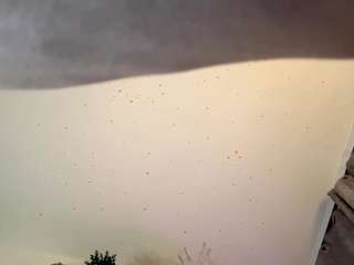 marcenemorici webcam