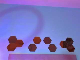 paulina-sodi live cam profile