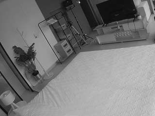 voyeurcam-jb-room-10