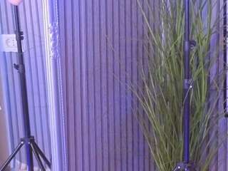 karmaarms Sex Cam Show