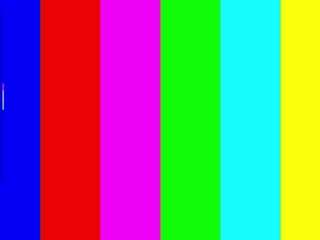 mechelleschirmer webcam