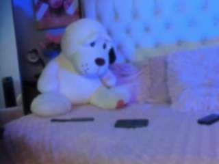 zafir-evans Sex Cam Show