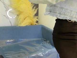 shaunadream Live Webcam on CamSoda