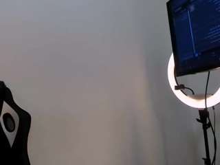 shaunadream