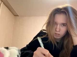 beliawesterfield webcam