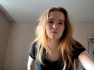 beliawesterfield