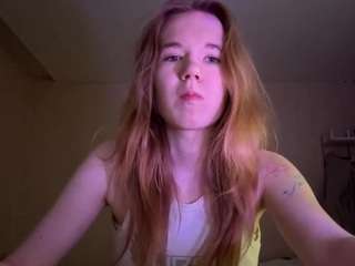 beliawesterfield