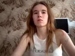 beliawesterfield
