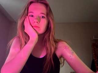 beliawesterfield