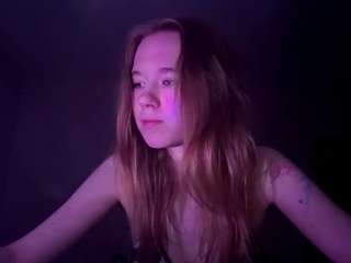 beliawesterfield