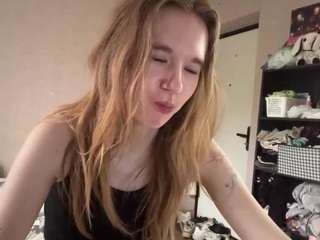 beliawesterfield