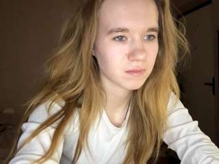 beliawesterfield