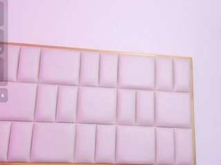 abigail-johnson webcam