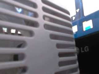 loisfer28