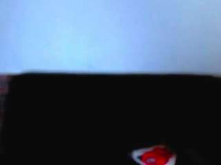 loisfer28