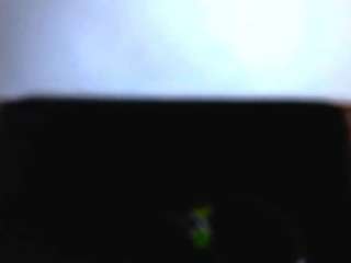 loisfer28