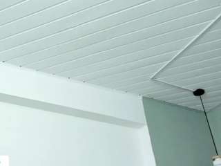 lucy-wiilliams live cam profile