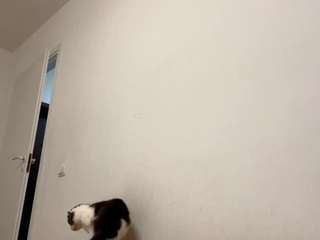 rossiejablonowski webcam