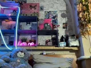 ilapolkinghorn webcam