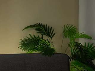 aleasefontenelle webcam