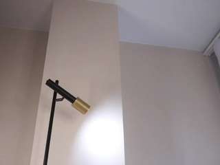 aleasefontenelle webcam