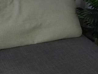 aleasefontenelle webcam