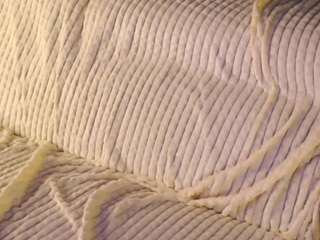 aleasefontenelle Live Webcam on CamSoda