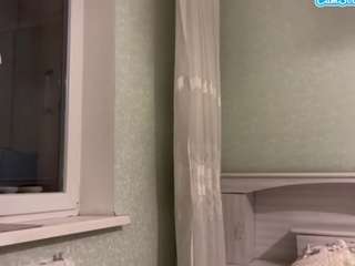 markettavanleeuwen webcam