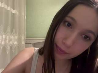 markettavanleeuwen webcam