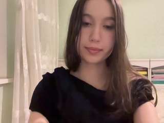 markettavanleeuwen webcam