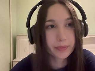 markettavanleeuwen webcam