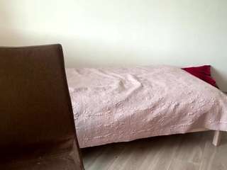 shelamcconnaughy webcam