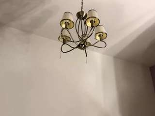 shelamcconnaughy live cam profile