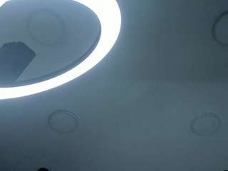 alicianahara live cam profile