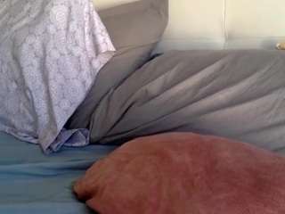 laceydawn Live Webcam on CamSoda