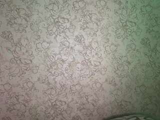 yanirajunk