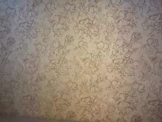 yanirajunk