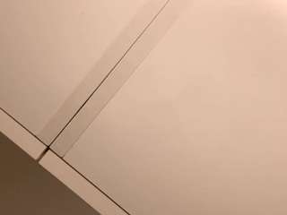 allisonmadonna webcam