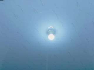 beautifulkattia's CamSoda show and profile