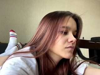 lavettepegram webcam